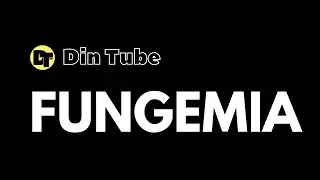 O QUE &Eacute; FUNGEMIA?