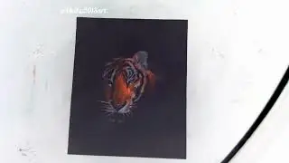 drawing a tiger head with film negative effect for beginners.