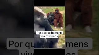 #engracado #gorila #macaco 👉🏻#mesigam 👈🏻😜😅🤣