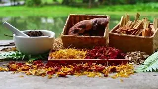 Thai Herbal Extract Manufacturers