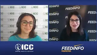 Feedinfo Perspectives Presents: Overcoming Health and Production Challenges in Feedlot Cattle