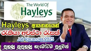 Hayles Job Vacancies In Sri Lanka I Job Vacancies in 2025 I New Job Sinhala
