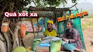 Quá xót xa HOÀN CẢNH NGHÈO KHỔ CỦA ÔNG BÀ sống ở rừng || 255