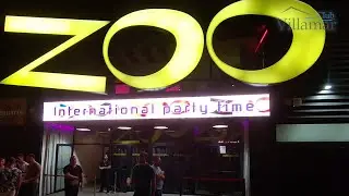 Disco in Lloret de Mar (Costa Brava): ZOO BAR!