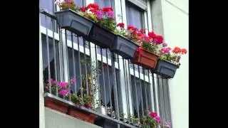 5 BALCONS FLEURIS 2014   Vilmette