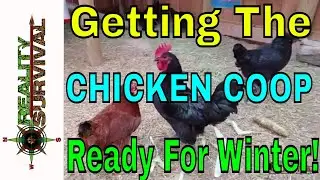 Getting My Backyard Chicken Coop Ready For Winter!