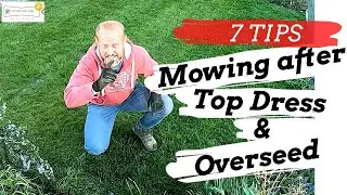 7 TIPS: YOUR FIRST MOW AFTER TOP DRESS & OVERSEED (Lawn Renovation)