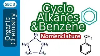 Cyclo alkanes and aromatic Benzene | تالتة ثانوى لغات