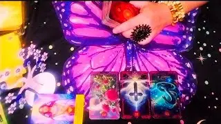 🌺ALGUÉM ESTÁ SENTINDO FALTA DA ATENÇÃO QUE VOCÊ DAVA E ISSO E SÓ O COMEÇO... 
