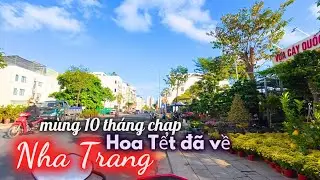 Hoa Tết đã bày bán trên đường, Từ  Phước Long về Phước Hải