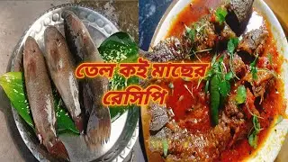 তেল কই রেসিপি এইভাবে বানিয়ে নিন স্বাদ হবে দুর্দান্ত | Tel koi recipe || Bengali fish curry recipe |