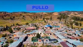 PULLO PERU 2023 (MARZO)