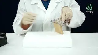 Projectile Launcher