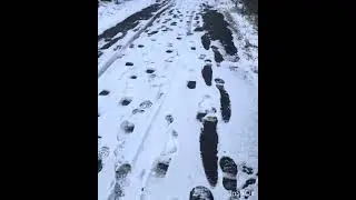 29er Swicth to 27.5x3.0 Tires(Winter Rides @ Finch Northwest Humber Trail)