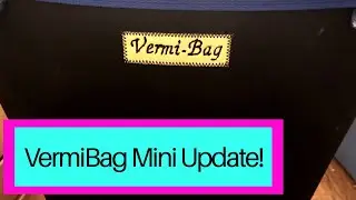 VermiBag Mini Prep For Harvest: Update & Feeding