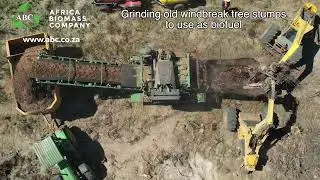 Grinding windbreak tree stumps to use as  biofuel