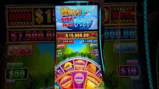 #slot #buffalo #winner #bigwin #slotmachine #casino #vegas #lasvegas #gaming #mgm #hufflepuff #slots