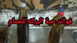 فوائد حبة البركه للحمام