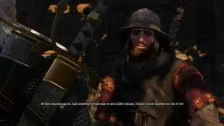witcher stream