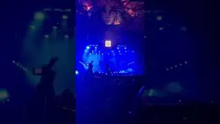 Martin Garrix Untold 2024 #untold #music #best #cool #2024 #2024shorts #martingarrix