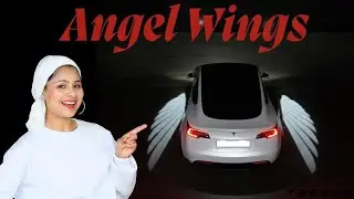 Tesla Angel Wings Rearview Welcome Light Install & Review- Tesery