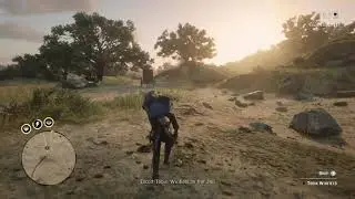 RDR2 Online Legendary Bounty Tobin Windfield 5 star Solo