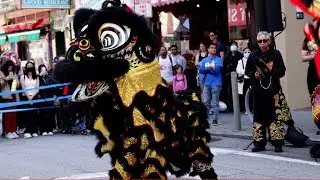 Lion Dance by Jing Mo Athletic Association ~ Chinatown Lion Dance Festival 2022