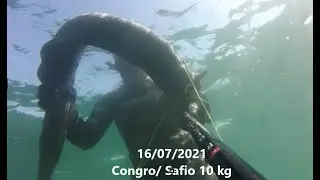 16/07/2021 Congro Safio 10 kg   Spearfishing  Pesca Subacquea   Conger eel