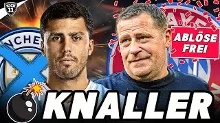 WECHSEL-HAMMER bei RODRI! BAYERN findet KANE-ERSATZ! | KickNews