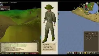 OSRS Fishing Basics
