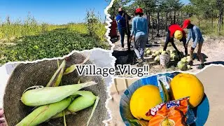 A day in our lives | Village life | #africanvillagelife