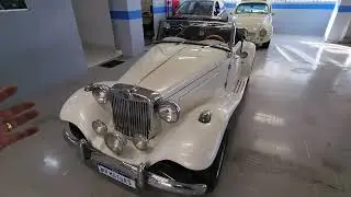 MP LAFER 1980