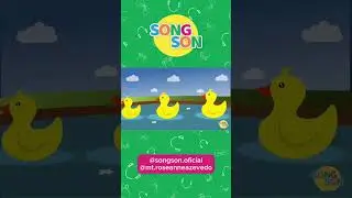 O Som dos Animais