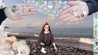 Shells Galore [Beachcombing Coastal New England: Sea Glass Hunting & Shelling, Beach Glass & Shells]