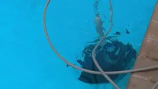 Demonstration of Polaris Epic 8640 Automatic Pool Cleaner Vacuum | Efficient Pool Cleaning Solution