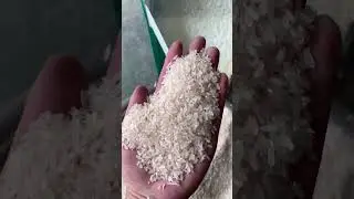 6in1 large output rubber wheel rice huller. #backbone #machine #ricemillingmachine