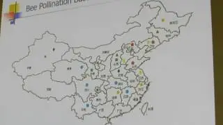Apimondia Istanbul - China&rsquo;s Apiculture Situation and Development Strategy - Jie Wu - 30.09.2017