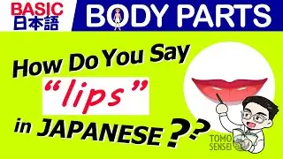 BODY PARTS in JAPANESE - Basic Japanese Vocabulary for Beginners