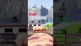 🐷 Making a VR Game - TRUE Pig Sim 2024 Reboot! #vrgaming  #devlog #shorts May 22, 2024
