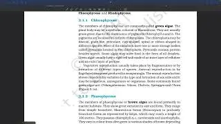 PYRENOIDS STORAGE BODY IN 💚 ALAGE