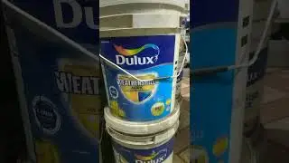 Dulux, Asian paints, indigo paints and one coming soon 🔜 guess