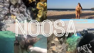 Noosa Fairy Pools, Noosa National Park Coastal Walk, sunset swims & finding coral | Noosa part 1