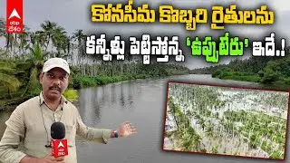 Kona Seema Coconut Trees Salt Water | కొబ్బరితోటలు చంపేస్తున్న శంకరగుప్తం కాలువ | ABP Desam