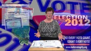 Protect Your Vote - Illinois Ballot Integrity Project
