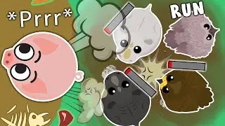 STINKY PIG TROLLING mope.io REVENGE Stinky pig kills 2 rare golden eagles