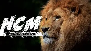 I Did That - Diamond Ortiz - Hip Hop and Rap - No Copyright Music 2021