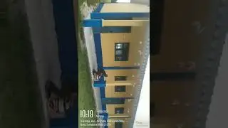 UPT SDN 29 Sukaraja sedang berbenah walau muridnya minimalis kepseknya tetap semangat kerja hh