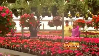 A Visit to a Midwest Gardening Destination
