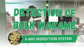 Bulk wakame X-Ray detection with air-blast rejection