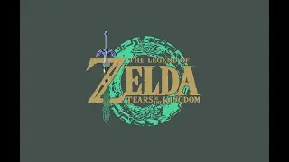 The Legend of Zelda: Tears of the Kingdom post-main quest stream Bravo